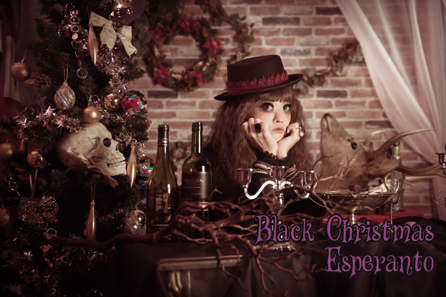 京都 変身写真 ドレス クリスマス サンタクロース 化粧 メイク ヘアメイク コスプレ