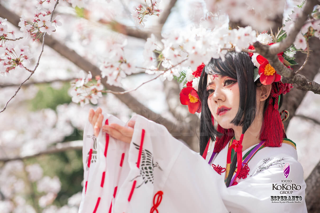 桜の下で巫女体験
