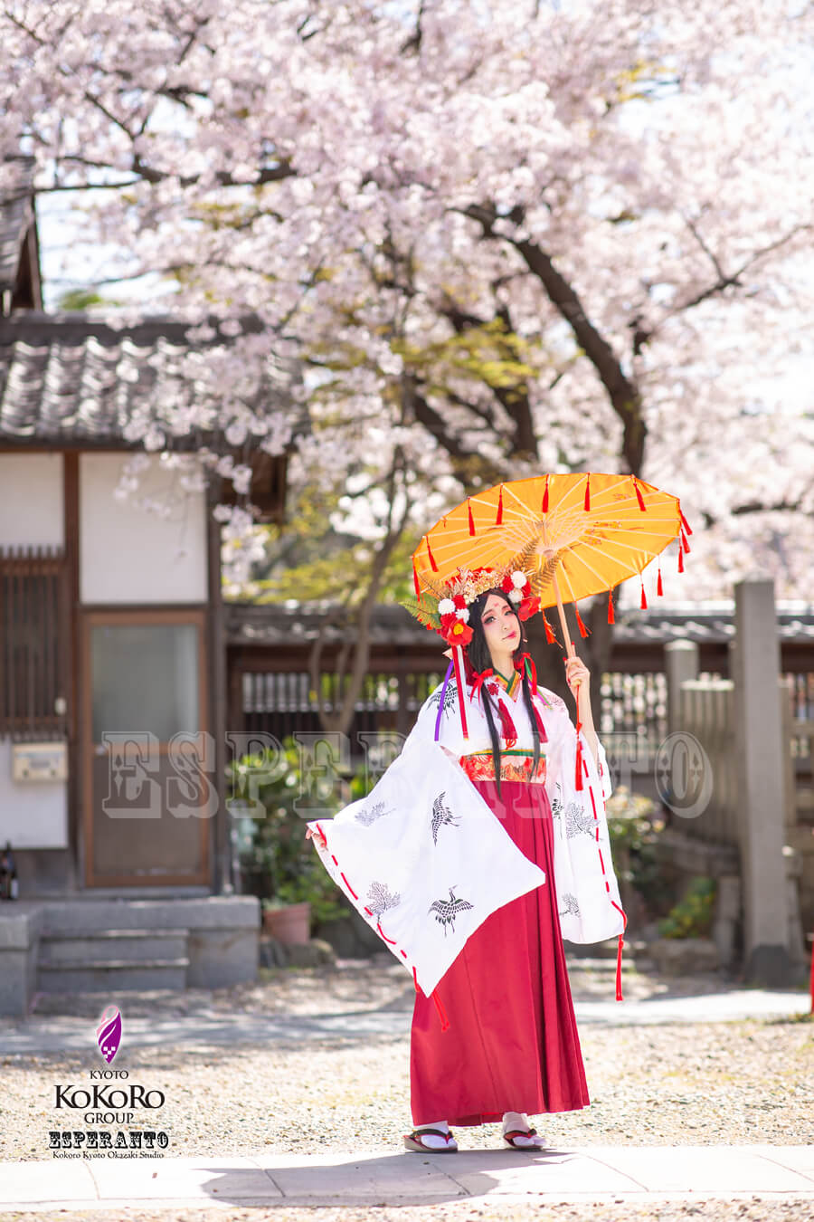 大将軍神楽姫