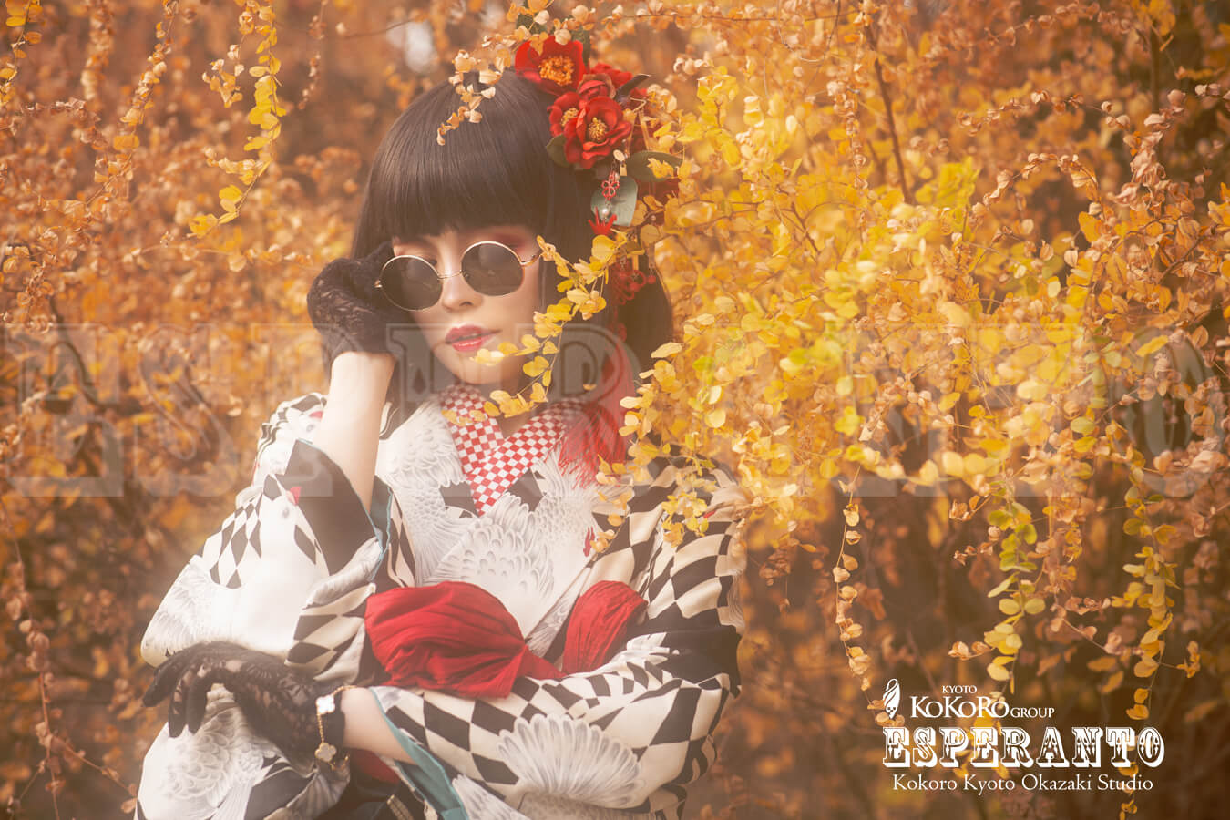 99 9 世界一カッコいい紅葉ジャポニスム エスペラント Kokoro京都岡崎スタジオ