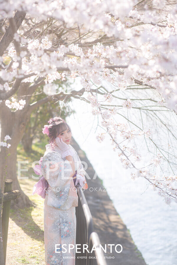 着物桜