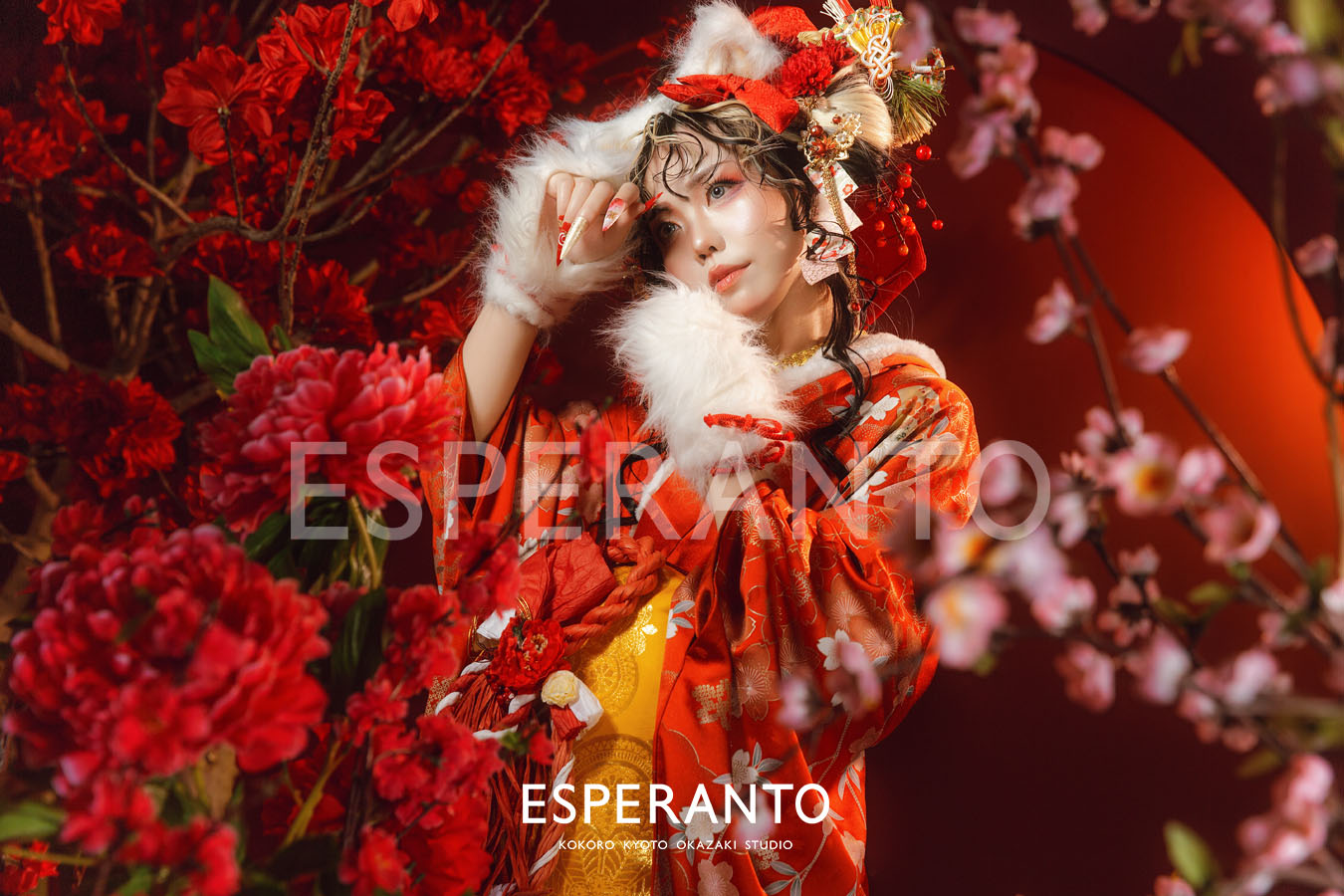 正月　写真館　招き猫