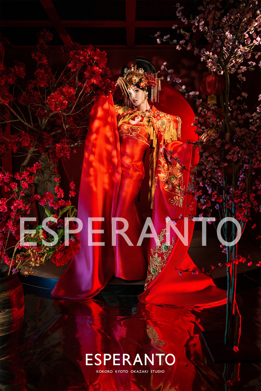 京都　中華　撮影