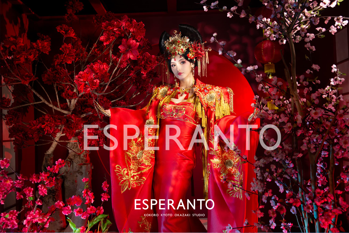 京都　中華　撮影